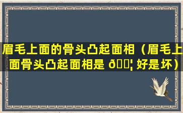 眉毛上面的骨头凸起面相（眉毛上面骨头凸起面相是 🐦 好是坏）